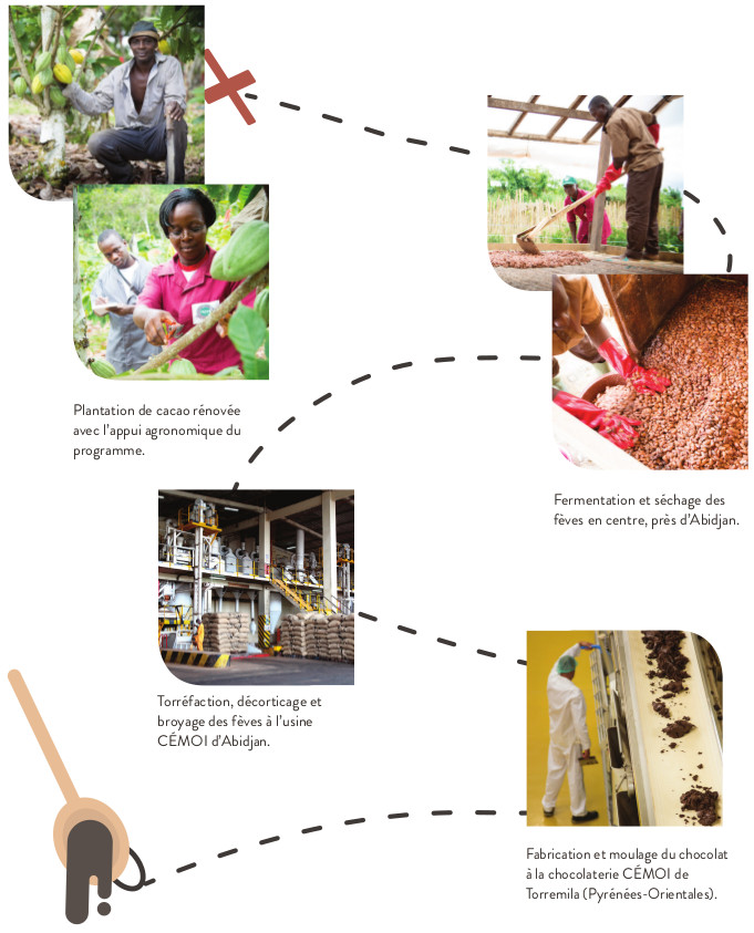 schema_filiere_cacao